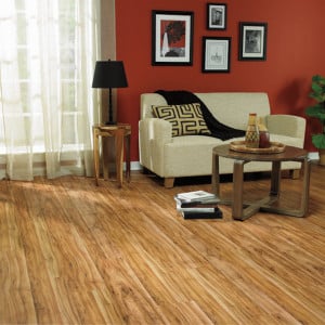 laminate-floors