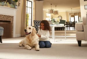 Cleaning With Your Pet In Mind, And Cleaning Up Accidents Too!